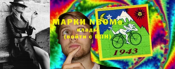 ешки Алексин