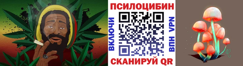 Галлюциногенные грибы мухоморы  даркнет клад  Джанкой 